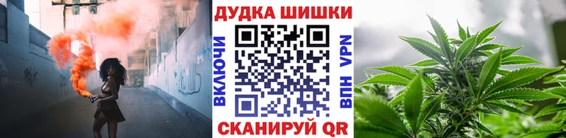 МЕГА ONION  продажа наркотиков  Новый Уренгой  Марихуана сатива 